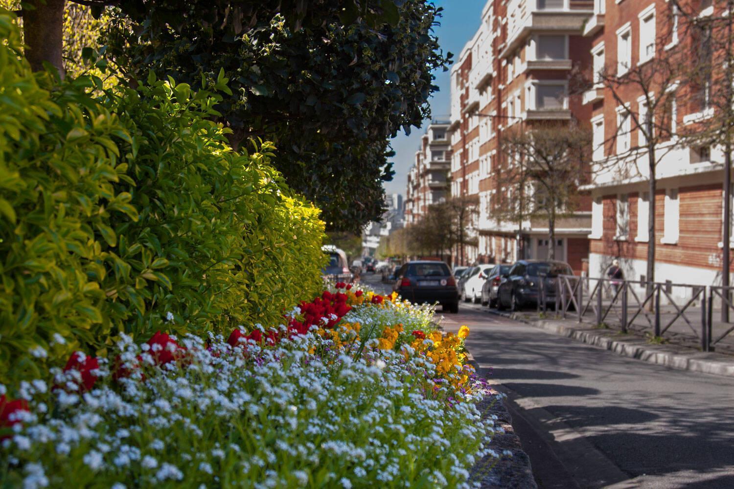 Sweet Apartment Near Paris Center Vitry-sur-Seine Dış mekan fotoğraf